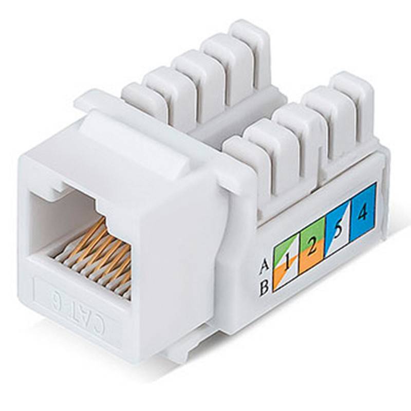 399601.jpg